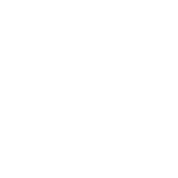 snowflake-white Snow