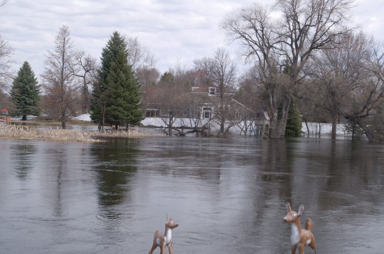 flood-damage