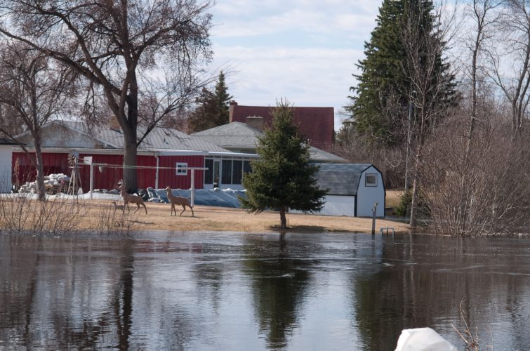 flood-damage