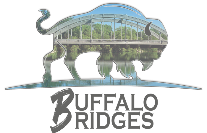 Buffalo Bridges Logo