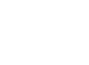 county-logo-white